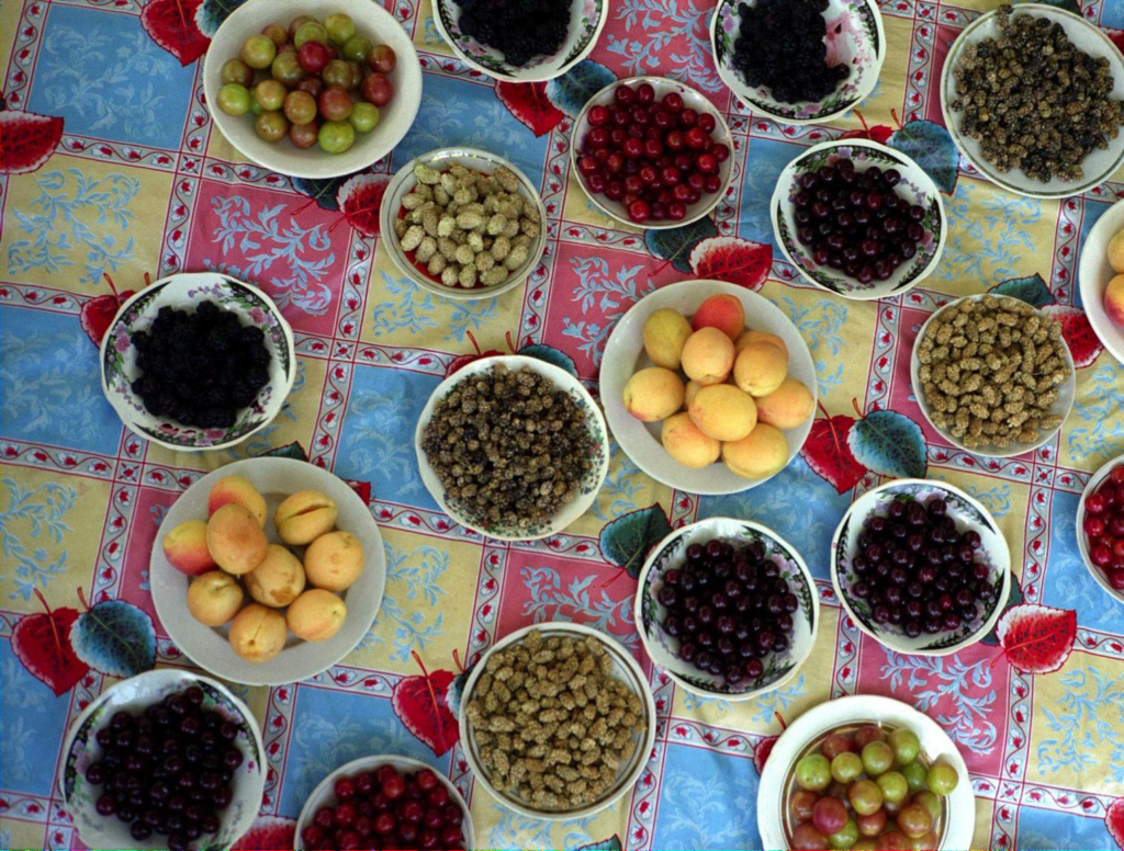 fruit biocultural diversity