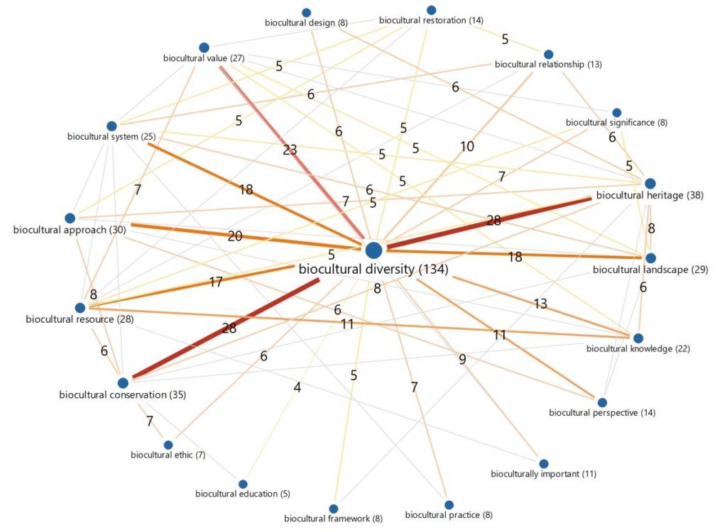 The biocultural terms that where mentioned most frequently together in scientific articles